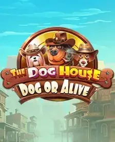 The Dog House Dog Or Alive